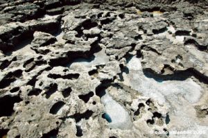 gozo_dwejra_bay039