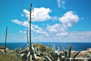 gozo_dwejra_bay109