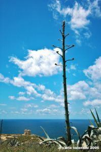 gozo_dwejra_bay111