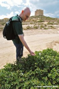 gozo_dwejra_bay121