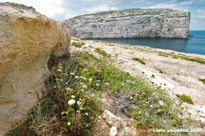 gozo_dwejra_bay134