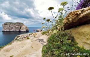 gozo_dwejra_bay145