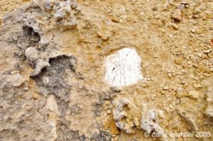 gozo_dwejra_bay151