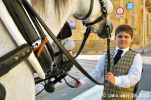 gozo_fontana056