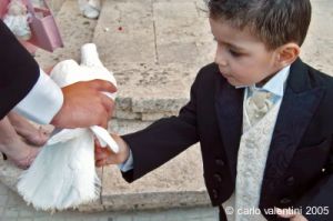 gozo_fontana073