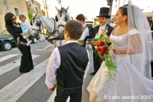 gozo_fontana108