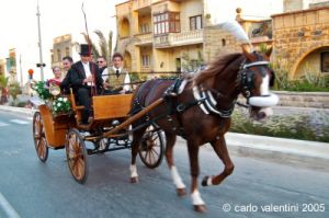 gozo_fontana142