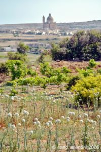 gozo_ggantija010