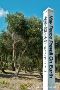 gozo_ggantija021