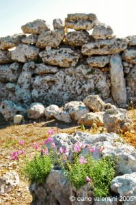 gozo_ggantija041
