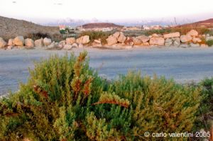 gozo_gharb028