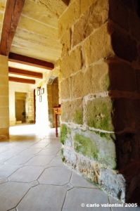 gozo_gharb_1farm39