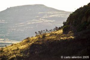 gozo_ghasri01