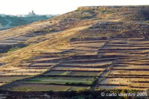 gozo_marsalforn04