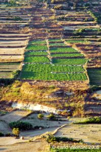 gozo_marsalforn05