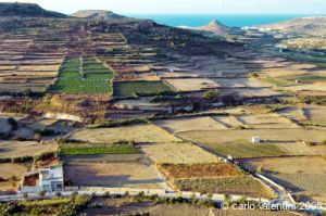 gozo_marsalforn06