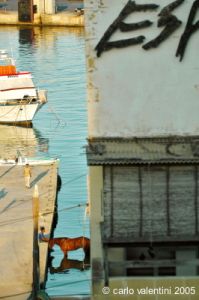 gozo_mgarr_harbour23