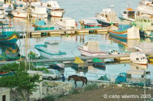 gozo_mgarr_harbour24