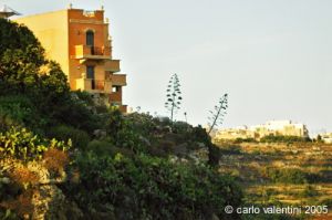 gozo_mgarr_harbour27