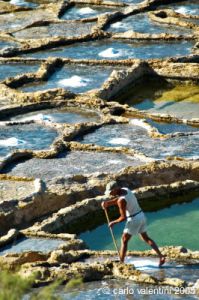gozo_qbajjar_bay042