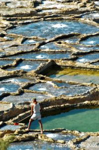 gozo_qbajjar_bay044