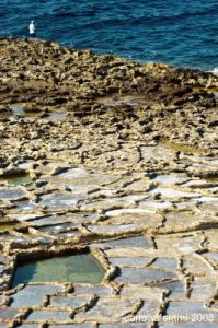 gozo_qbajjar_bay054