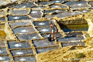 gozo_qbajjar_bay061