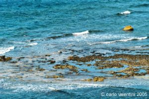 gozo_qbajjar_bay093