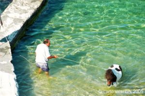 gozo_qbajjar_bay095