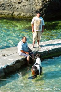 gozo_qbajjar_bay103