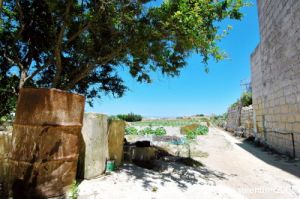gozo_san_lawrenz10
