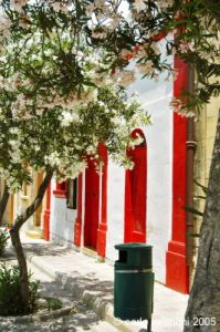 gozo_sannat3