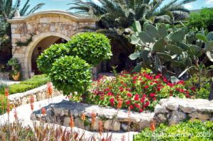 gozo_sannat_tacenc001