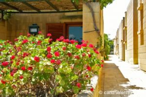 gozo_sannat_tacenc015