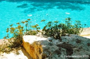 gozo_sannat_tacenc020