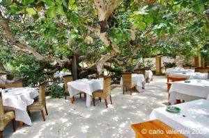 gozo_sannat_tacenc062