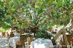 gozo_sannat_tacenc064
