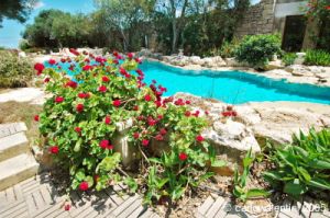 gozo_sannat_tacenc097