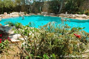 gozo_sannat_tacenc098