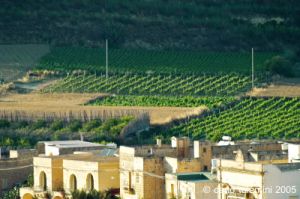 gozo_victoria040
