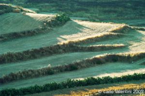 gozo_victoria041