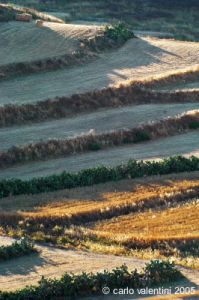 gozo_victoria042