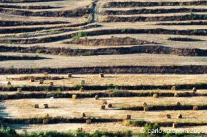 gozo_victoria043