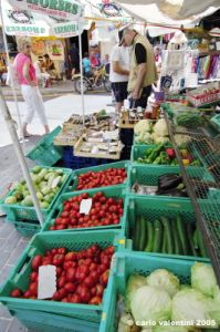 gozo_victoria141