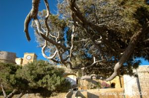 gozo_victoria_cittadella003
