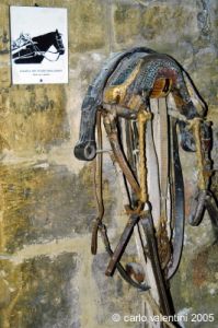 gozo_victoria_cittadella163