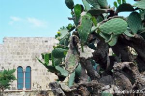 gozo_victoria_cittadella224