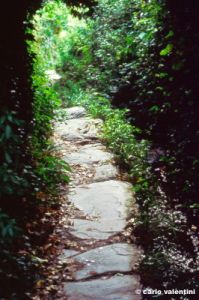 sentiero_amore400_09