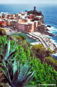 vernazza399_29