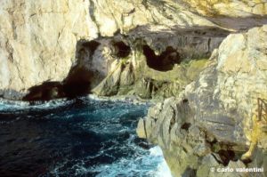 capocaccia34_14